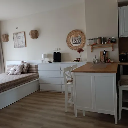 Appartement слънчево студио алпин банско! *