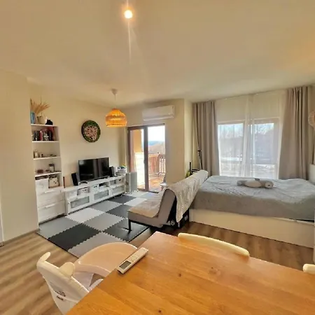 слънчево студио алпин банско! * バンスコ