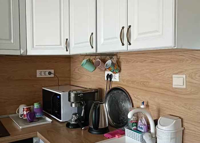 Lejlighed слънчево студио алпин банско! *